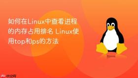 如何在linux中查看进程的内存占用排名 linux使用top和ps的方法