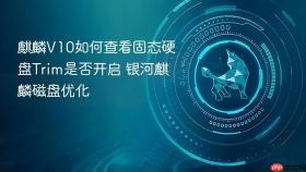 麒麟v10如何查看固态硬盘trim是否开启 银河麒麟磁盘优化