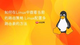 如何在linux中查看当前的路由策略 linux配置多路由表的方法