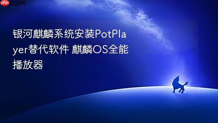 银河麒麟系统安装potplayer替代软件 麒麟os全能播放器