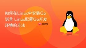 如何在Linux中安装Go语言 Linux配置Go开发环境的方法