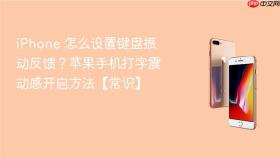iphone 怎么设置键盘振动反馈?苹果手机打字震动感开启方法【常识】