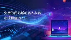 免费的网站域名转入与转出流程查询入口