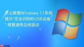 怎么修复windows 11系统提示“无法识别的usb设备” 修复通用总线驱动