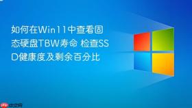 如何在win11中查看固态硬盘tbw寿命 检查ssd健康度及剩余百分比