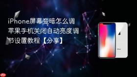 iphone屏幕变暗怎么调 苹果手机关闭自动亮度调节设置教程【分享】