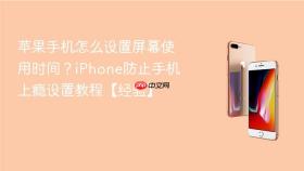 苹果手机怎么设置屏幕使用时间?iphone防止手机上瘾设置教程【经验】