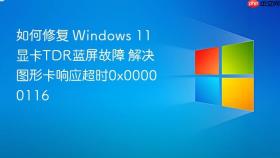如何修复 windows 11 显卡tdr蓝屏故障 解决图形卡响应超时0x00000116