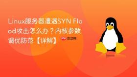 Linux服务器遭遇SYN Flood攻击怎么办？内核参数调优防范【详解】