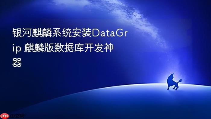 银河麒麟系统安装datagrip 麒麟版数据库开发神器
