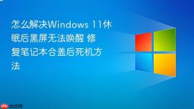 怎么解决windows 11休眠后黑屏无法唤醒 修复笔记本合盖后死机方法