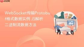 websocket传输protobuf格式数据实例 js解析二进制流数据方法