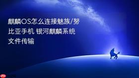 麒麟os怎么连接魅族/努比亚手机 银河麒麟系统文件传输