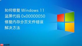 如何修复 windows 11 蓝屏代码 0x00000050 修复内存分页文件错误解决方法