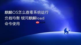 麒麟os怎么查看系统运行负载均衡 银河麒麟load命令使用
