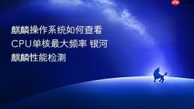 麒麟操作系统如何查看CPU单核最大频率 银河麒麟性能检测
