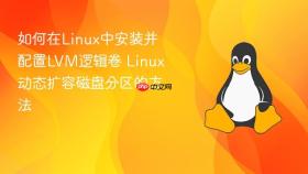 如何在linux中安装并配置lvm逻辑卷 linux动态扩容磁盘分区的方法