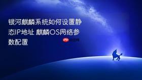 银河麒麟系统如何设置静态IP地址 麒麟OS网络参数配置