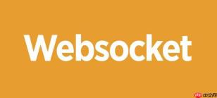 vue2项目怎么引入websocket vue-socket.io插件安装教程【步骤】