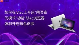 如何在Mac上开启“网页夜间模式”功能 Mac浏览器强制开启暗色皮肤