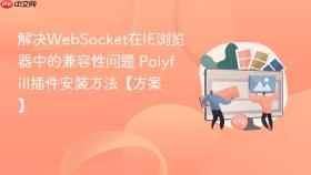 解决WebSocket在IE浏览器中的兼容性问题 Polyfill插件安装方法【方案】