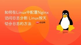 如何在Linux中配置Nginx访问日志分割 Linux按天切分日志的方法