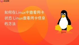 如何在Linux中查看网卡状态 Linux查看网卡信息的方法