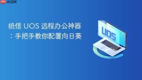 统信 UOS 远程办公神器：手把手教你配置向日葵