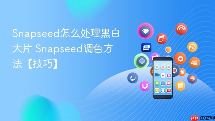 snapseed怎么处理黑白大片 snapseed调色方法【技巧】