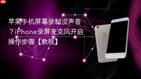 苹果手机屏幕录制没声音?iphone录屏麦克风开启操作步骤【教程】