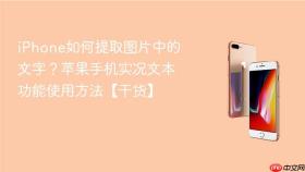 iPhone如何提取图片中的文字？苹果手机实况文本功能使用方法【干货】
