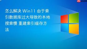 怎么解决 win11 由于索引数据库过大导致的本地搜索慢 重建索引缓存方法