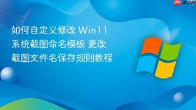 如何自定义修改 win11 系统截图命名模板 更改截图文件名保存规则教程