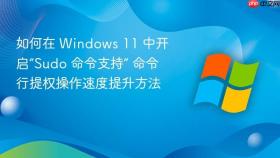 如何在 windows 11 中开启“sudo 命令支持” 命令行提权操作速度提升方法