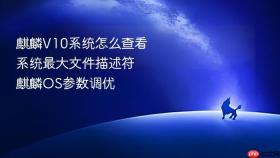 麒麟v10系统怎么查看系统最大文件描述符 麒麟os参数调优