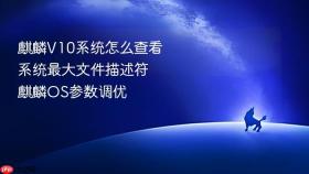 麒麟V10系统怎么查看系统最大文件描述符 麒麟OS参数调优