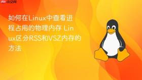 如何在linux中查看进程占用的物理内存 linux区分rss和vsz内存的方法