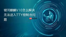 银河麒麟v10怎么解决无法进入tty控制台问题