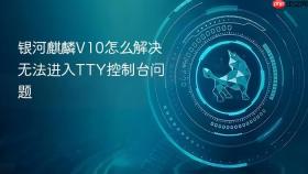 银河麒麟V10怎么解决无法进入TTY控制台问题