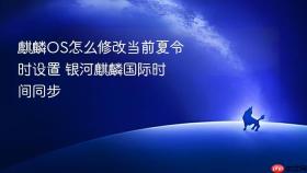 麒麟os怎么修改当前夏令时设置 银河麒麟国际时间同步