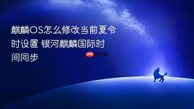 麒麟OS怎么修改当前夏令时设置 银河麒麟国际时间同步