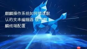 麒麟操作系统如何修改默认的文本编辑器 银河麒麟终端配置