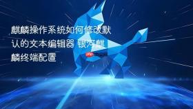 麒麟操作系统如何修改默认的文本编辑器 银河麒麟终端配置