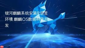银河麒麟系统安装R语言环境 麒麟OS数据科学开发