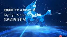 麒麟操作系统如何安装MySQL Workbench 麒麟数据库图形管理