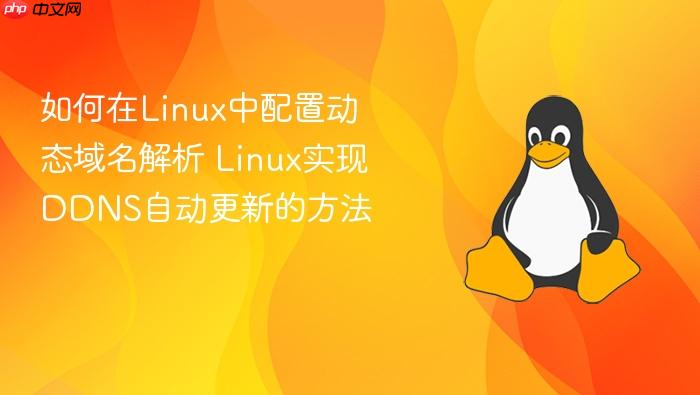 如何在linux中配置动态域名解析 linux实现ddns自动更新的方法