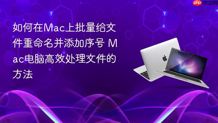 如何在mac上批量给文件重命名并添加序号 mac电脑高效处理文件的方法