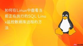如何在linux中查看当前正在执行的sql linux监控数据库进程的方法