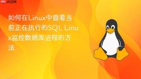 如何在Linux中查看当前正在执行的SQL Linux监控数据库进程的方法