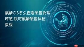 麒麟OS怎么查看硬盘物理坏道 银河麒麟硬盘体检教程